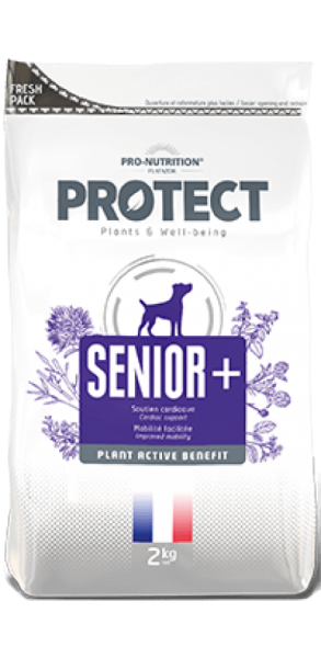 Pro Nutrition Protect Chien Senior +  2 kg